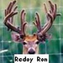 AI Sire - Redoy Ron 